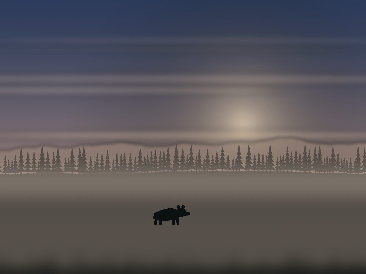 Northern Lights Camp
